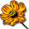 Fleur