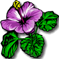 Fleur