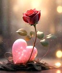 Fleur