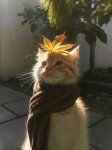 Fleur