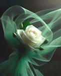 Fleur
