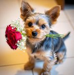 Fleur