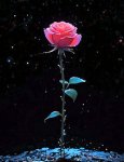 Fleur