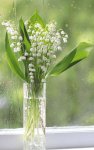 Fleur