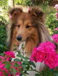 Fleur