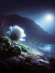 Fleur
