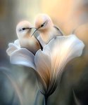 Fleur