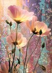 Fleur