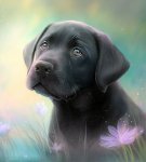 Fleur