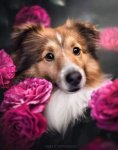 Fleur