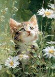 Fleur