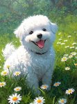 Fleur