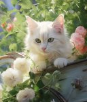 Fleur
