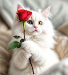 Fleur